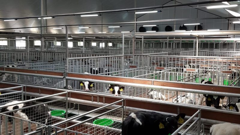 广州电商代运营报价背后的考量因素
